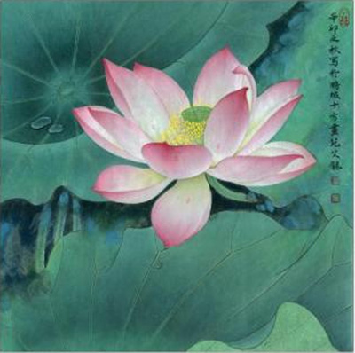 艾龍：荷花